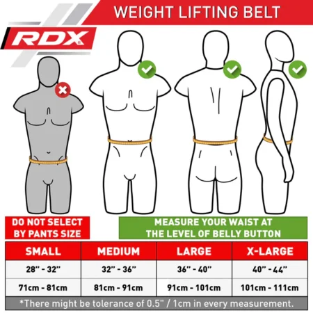 Powerlifting Gym Belt Guide
