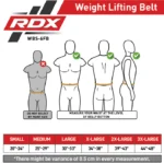 RDX Leather Gym Belt Size Guide