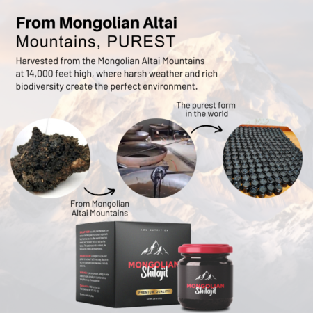 Amu Nutrition Mongolian Shilajit Altai Mountains