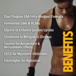 TIME4 NUTRITION EAA-ESSENTIAL-AMINO-ACIDS-ALL-FLAVOURS-LIST-OF-BENEFITS