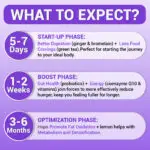 Harmonify GLP-1 Support Supplement What to expect Infographic