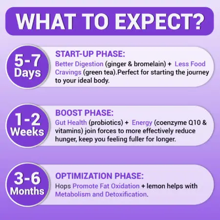 Harmonify GLP-1 Support Supplement What to expect Infographic