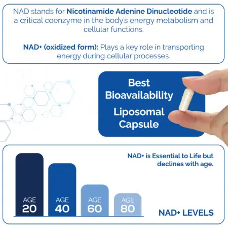 Harmonify NAD+ Supplement Infographic