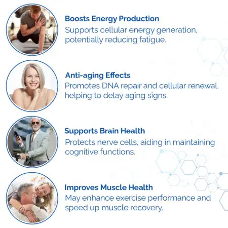 Harmonify NAD+ Supplement Infographic