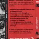 Strom Sports ABG10+ Inforgraphic