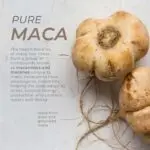 Neurogan + Health Black Maca Root Capsules - Benefits Information