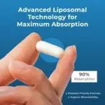 Neurogan + Health Liposomal_Spermidine_Capsules_absorption