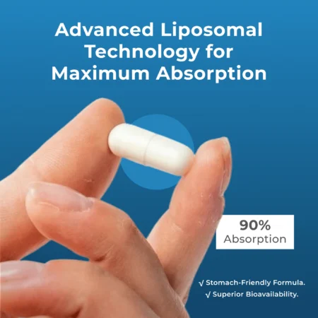 Neurogan + Health Liposomal_Spermidine_Capsules_absorption