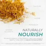 Neurogan + Health Sea-Moss-Capsules-Nutrients Infographic