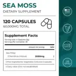 Neurogan + Health Sea-Moss-Capsules-Supplement Facts Infographic