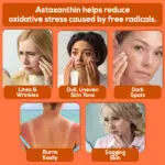 Harmonify High Strength Astaxanthin 12mg in Olive Oil - Key Product Benefits Infographic